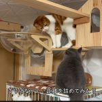 仲良くなりたいけれどまだ途中