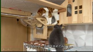 仲良くなりたいけれどまだ途中