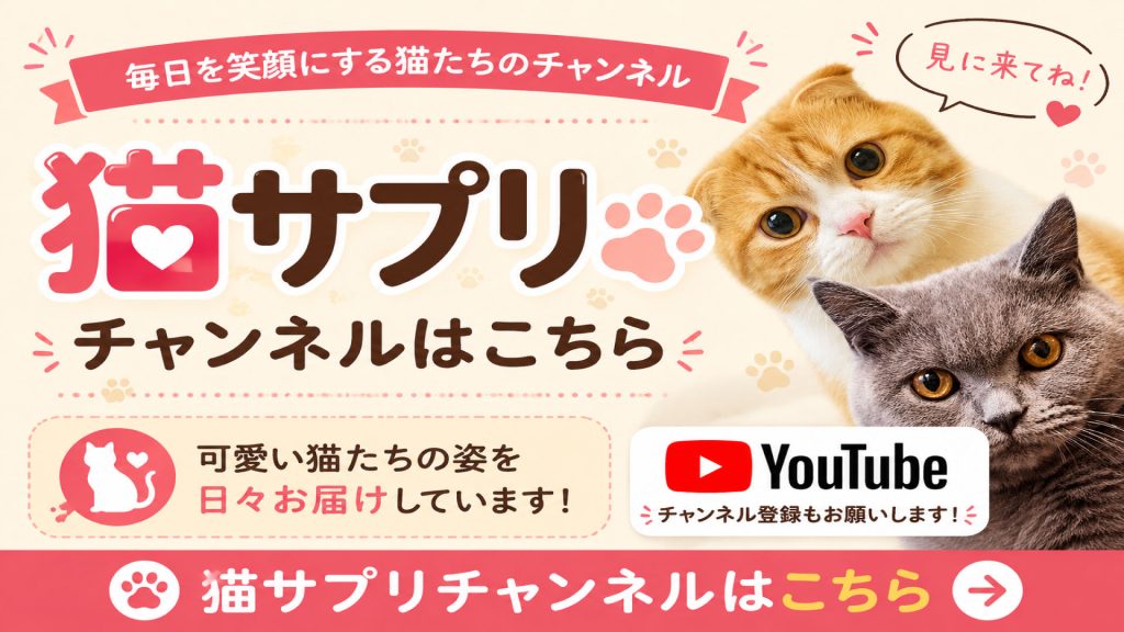 可愛い猫のYouTubeです