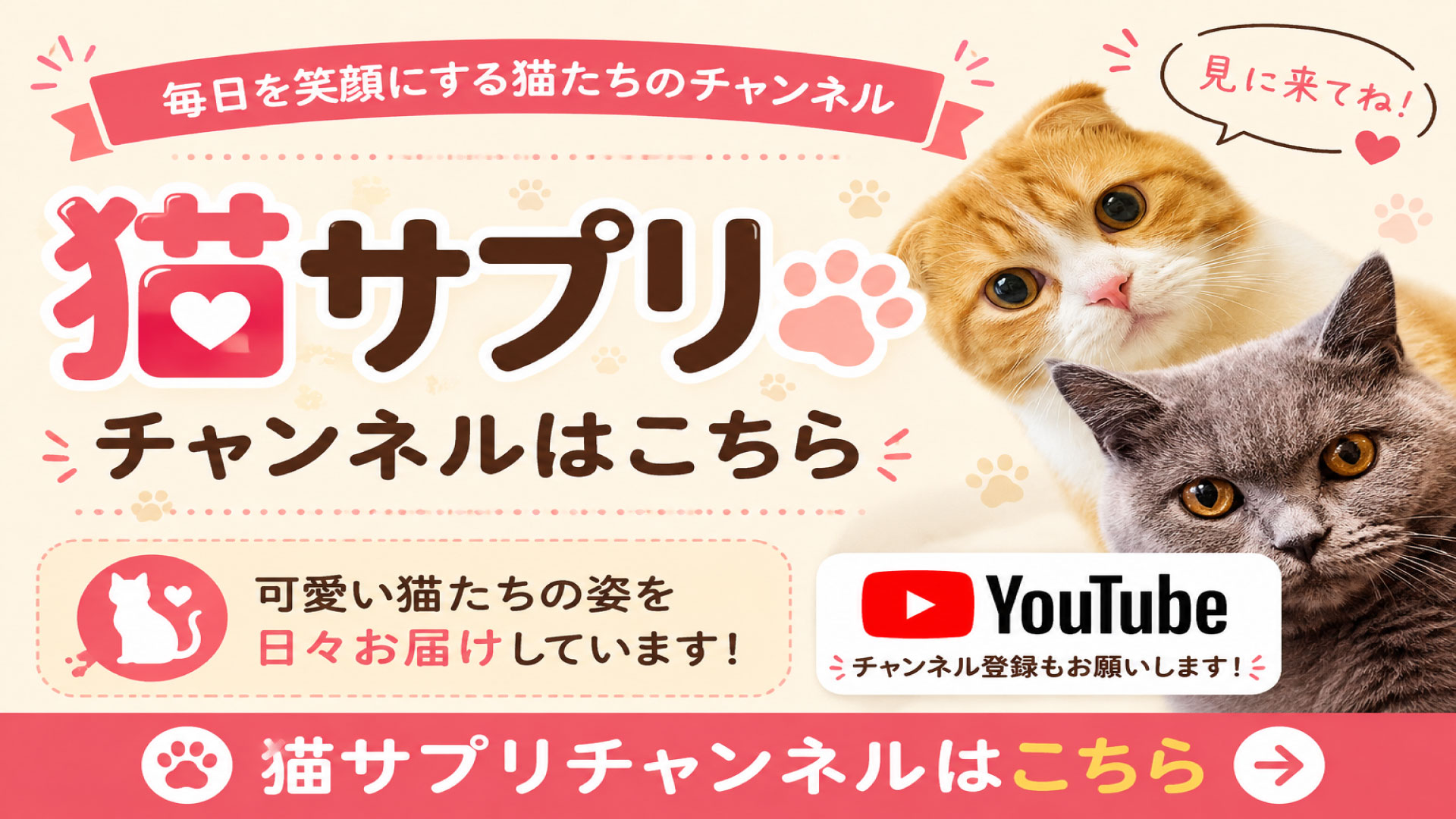 可愛い猫のYouTubeです