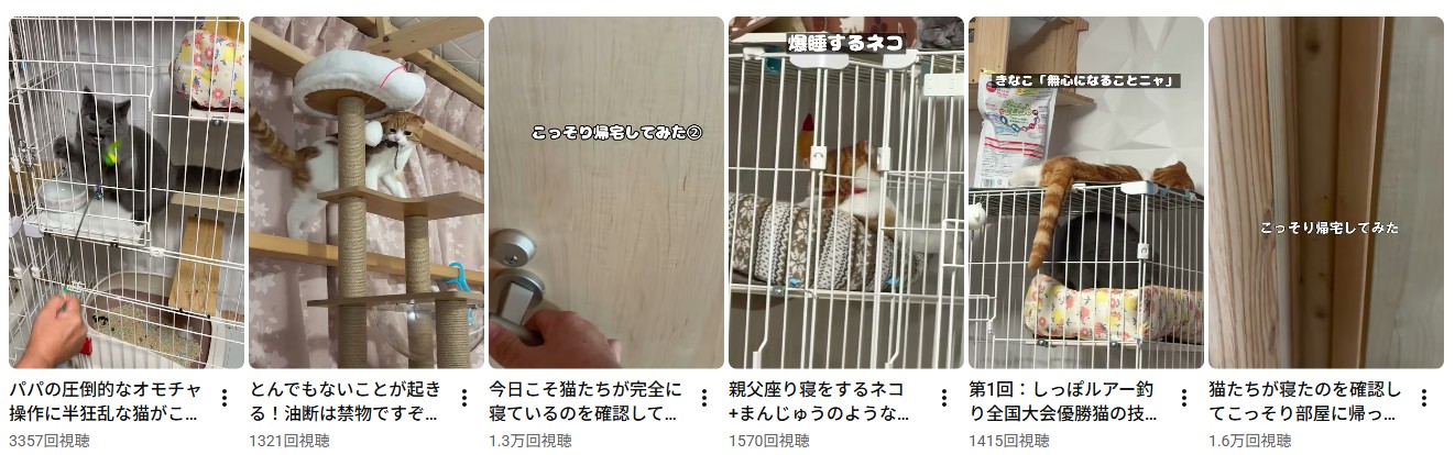 猫チャンネル